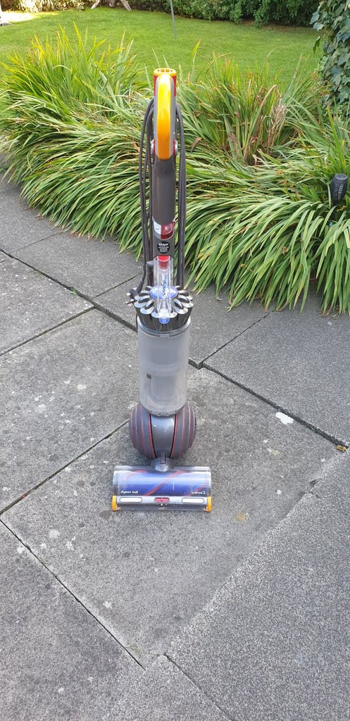 Dyson ball animal 2 