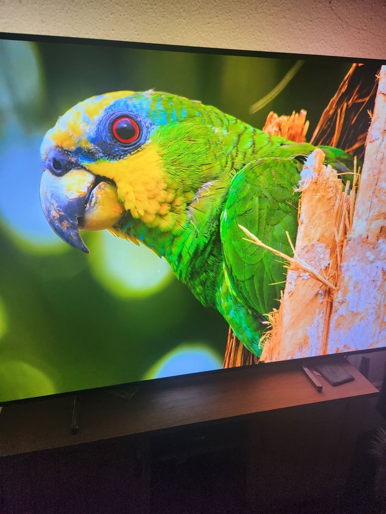 image for Phillips 77oled807 amberlight 2023 new £3499