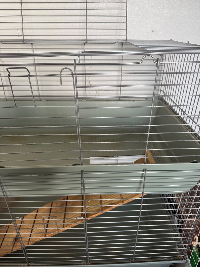 Rabbits cage with ramp 