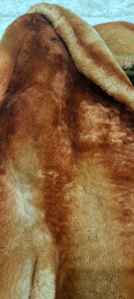 Womans vintsge royal cast best Beaver lamb