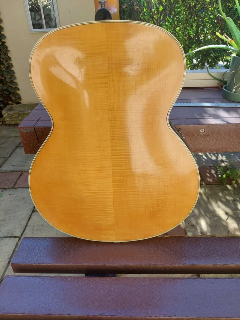 Hofner Senatopr 1958