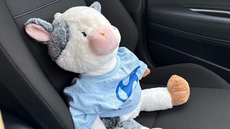 2024 Hyundai BAYON 1.0 TGDi Premium 5dr DCT Petrol Hatchback Hatchback Petrol Automatic