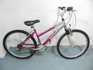 Raleigh Minx (15&quot; frame) Hardtail Mountain Bike (will deliver)