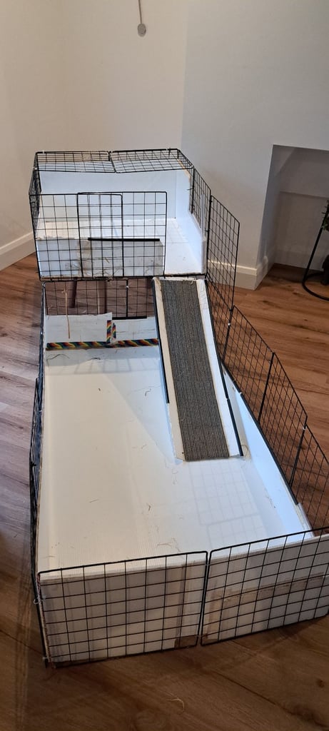 Guinea pig indoor large run C&C type