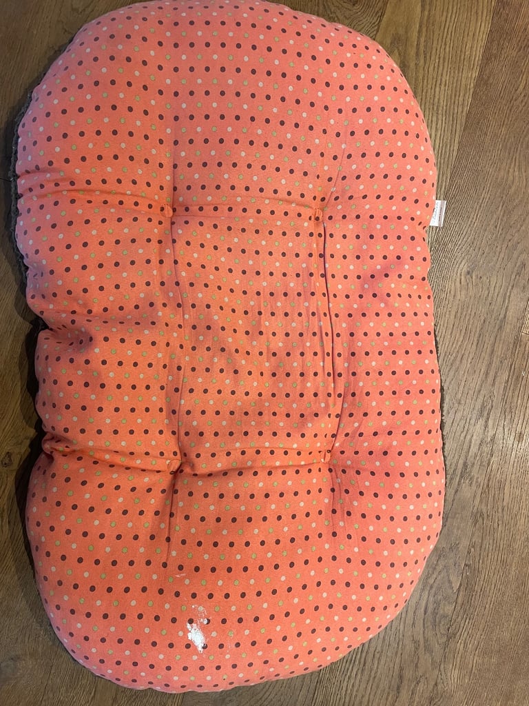 Free Dog Bed collection only 