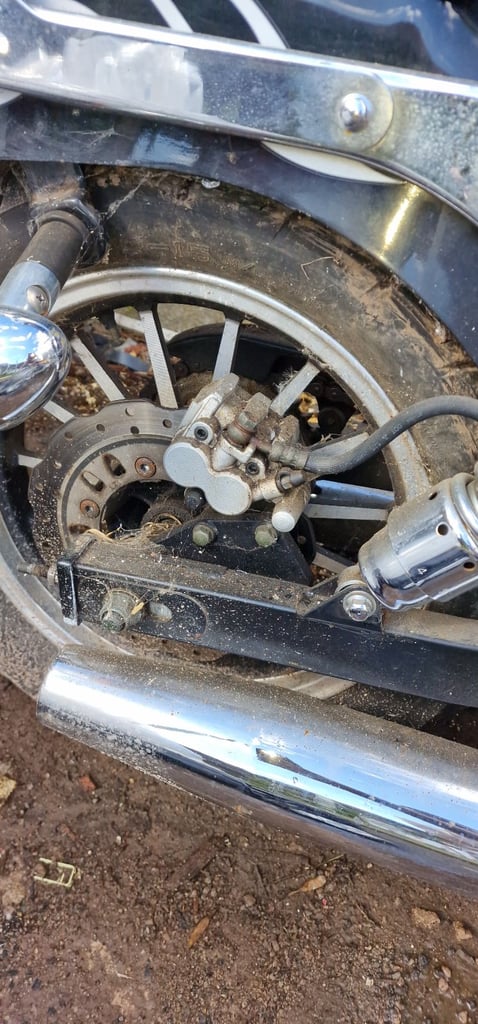 AJS, REGAL, 2012, 125 (cc)