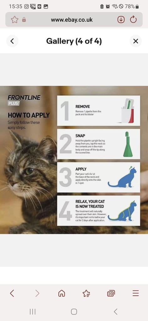 Frontline cats