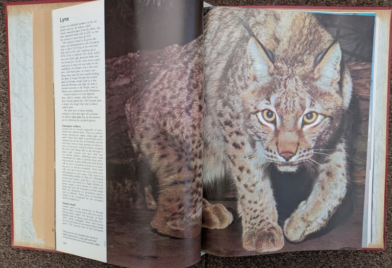 Animal Life Encyclopedia