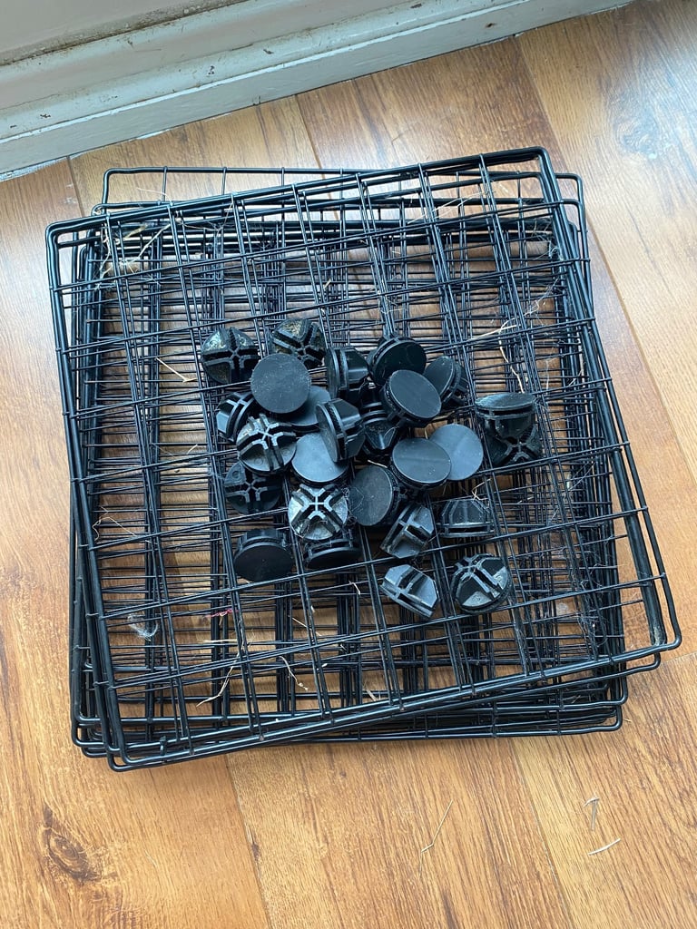 image for  Guinea pig cage/play pen 