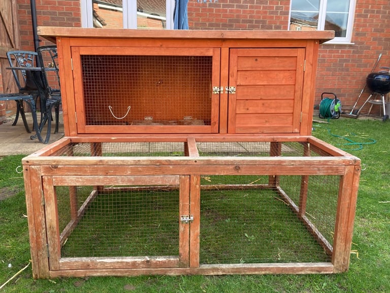 Rabbits - Norwegian Dwarf - With hutch