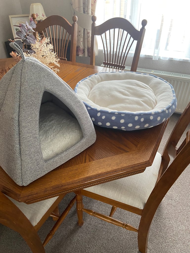 Cat beds and scratch posts