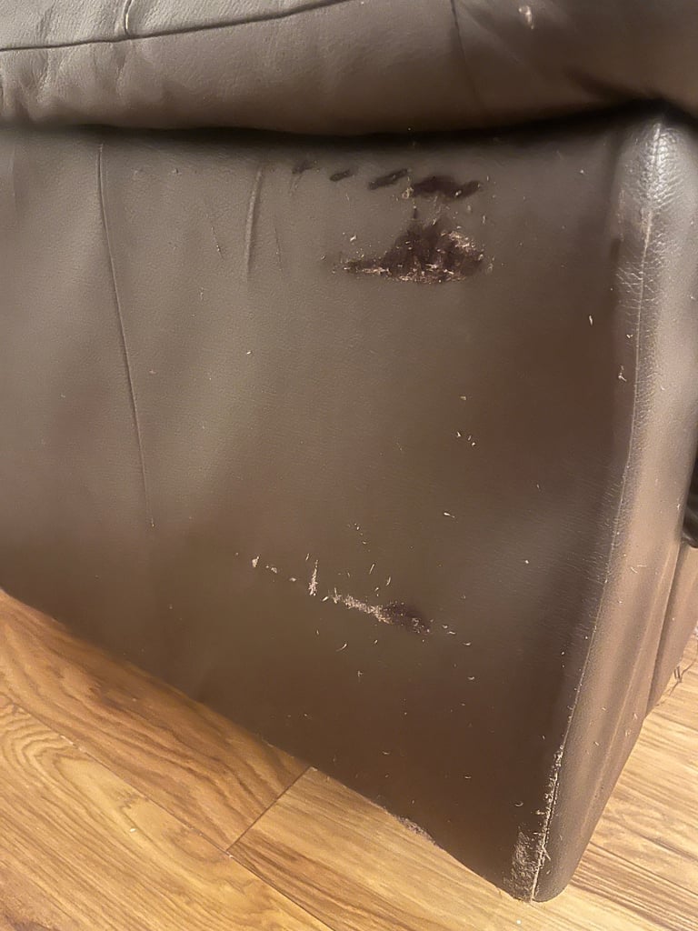 Free Italian leather sofa and chairs