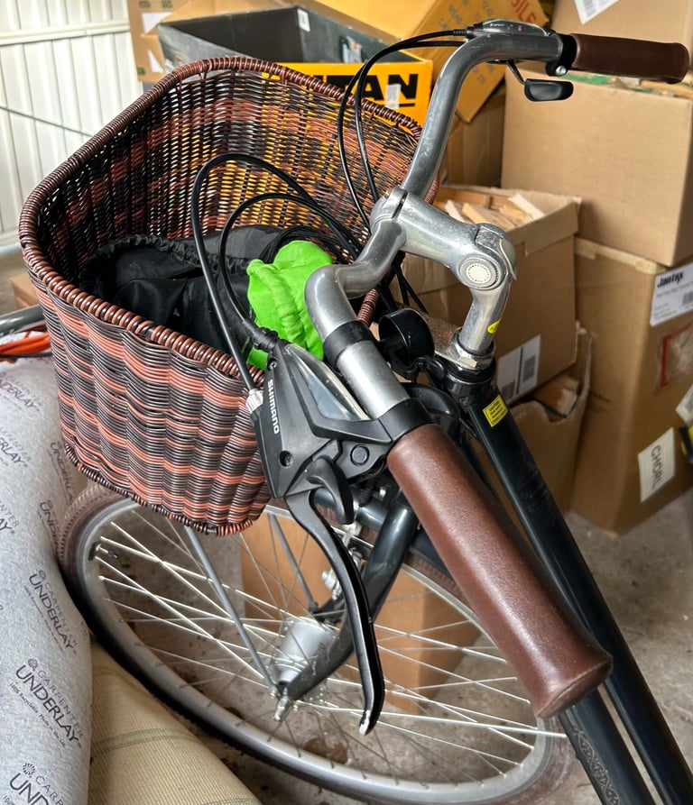 Liv flourish bicycle 