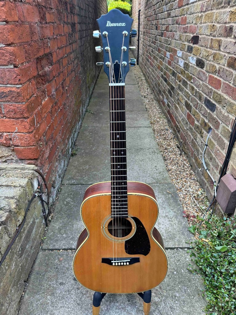 Ibanez V220 Vintage Series (Japan, 1980s) + Schatten HFN passive piezo pickup