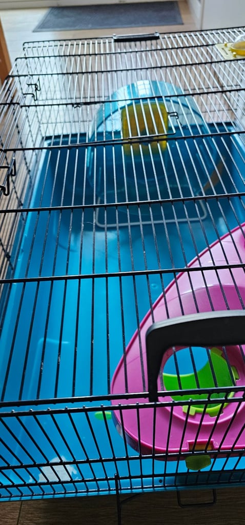 Hamster cage 