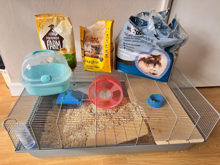 image for Female Dwarf Hamster (1.3 Yrs) with Full Starter Kit