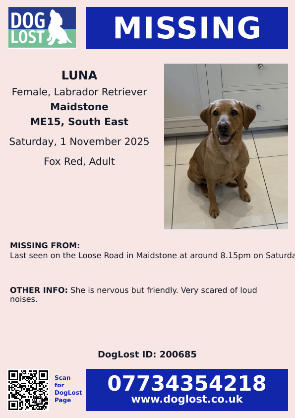 Missing Red Fox Labrador Luna