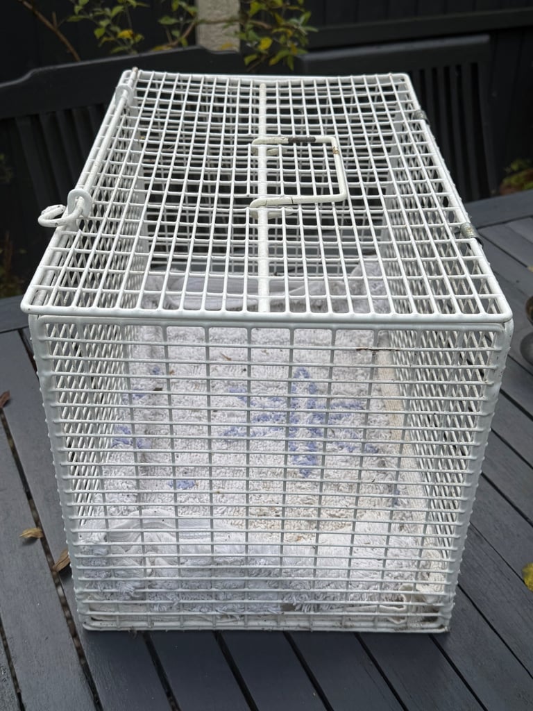Vintage cat basket / pet accessory 