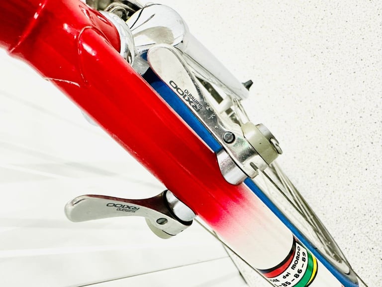 BOTTECHIA Size/L Super LW Road Bike  12 Speed 700c Wheels