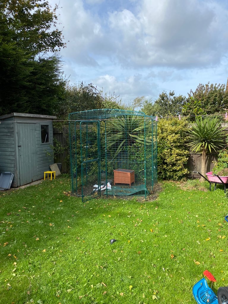 Omlet - Walk in Outdoor Rabbit/Chicken run