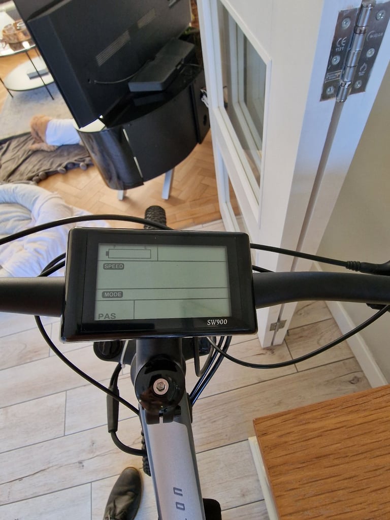 Giant electric bike
