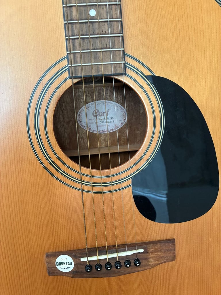 Cort Acoustic Guitar