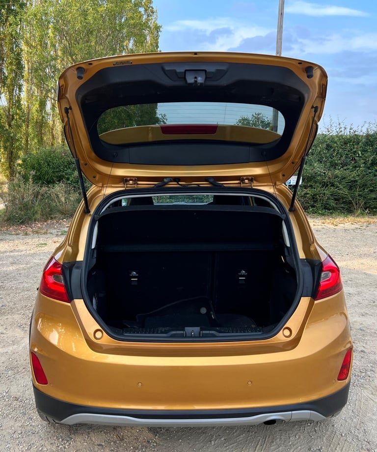 2020 Ford Fiesta 1.0T EcoBoost Active X Euro 6 (s/s) 5dr HATCHBACK Petrol Manual