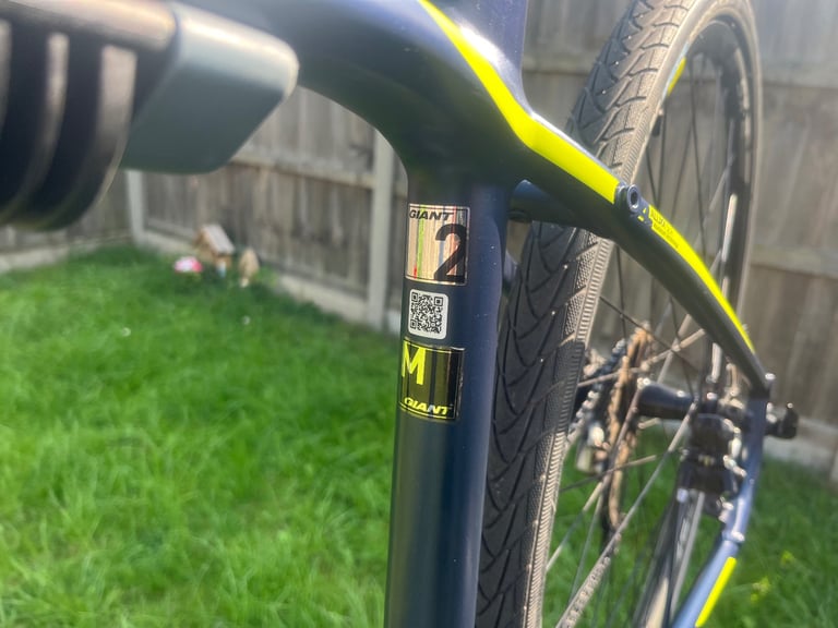 Giant Toughroad SLR Gravel Bike 