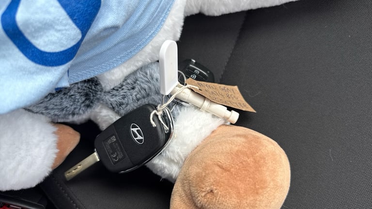 2024 Hyundai BAYON 1.0 TGDi Premium 5dr DCT Petrol Hatchback Hatchback Petrol Automatic