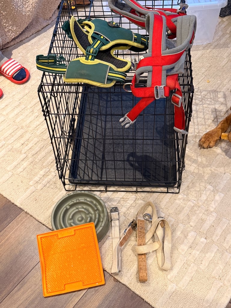 image for Free Dog Crate, Harnesses and Bowl and other accessories 
