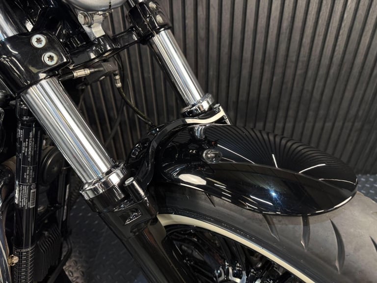 2017 Harley-Davidson Sportster 1200 XL1200X Forty-Eight Euro 4