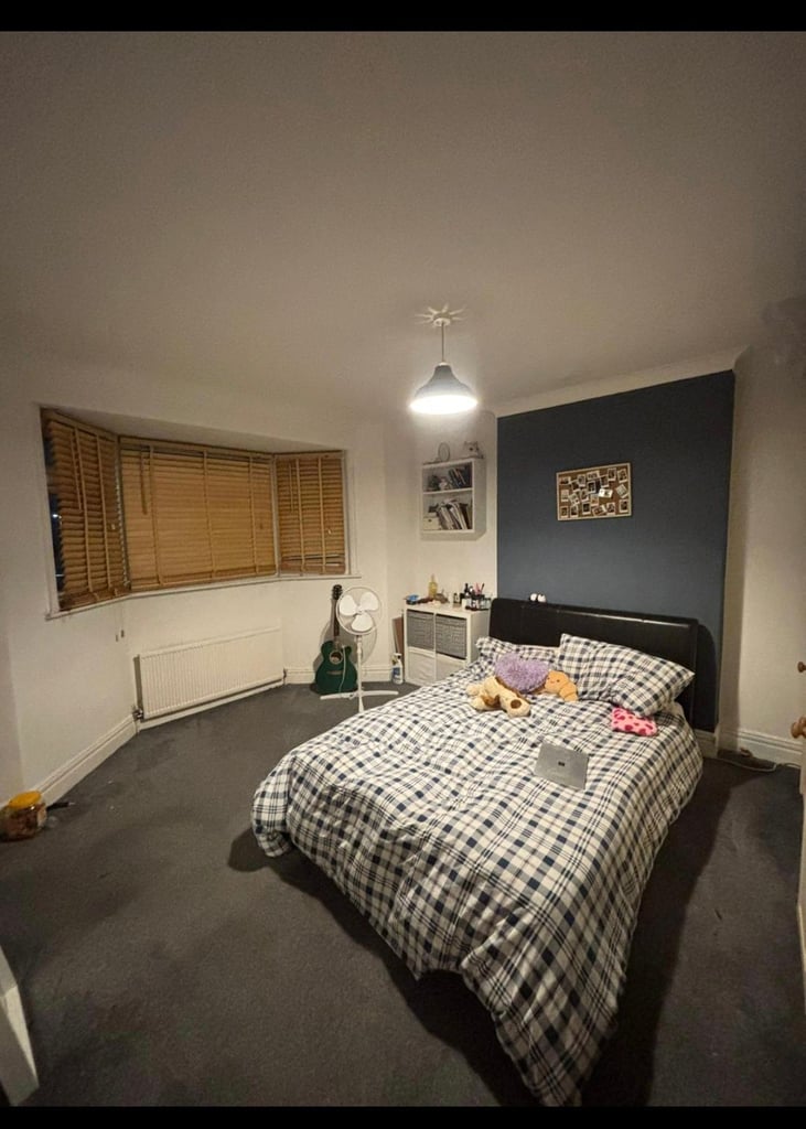 Large cozy room in quiet clean house share