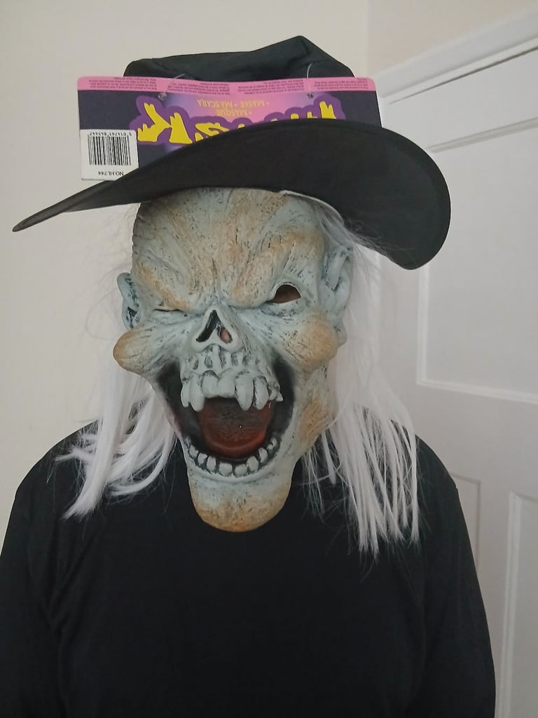 Halloween fancy dress masks