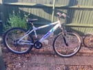 Adults 17” mountain bike £40 