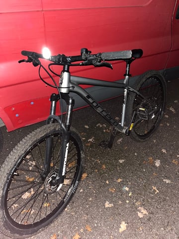 Carrera sulcata in St Albans, Hertfordshire Gumtree