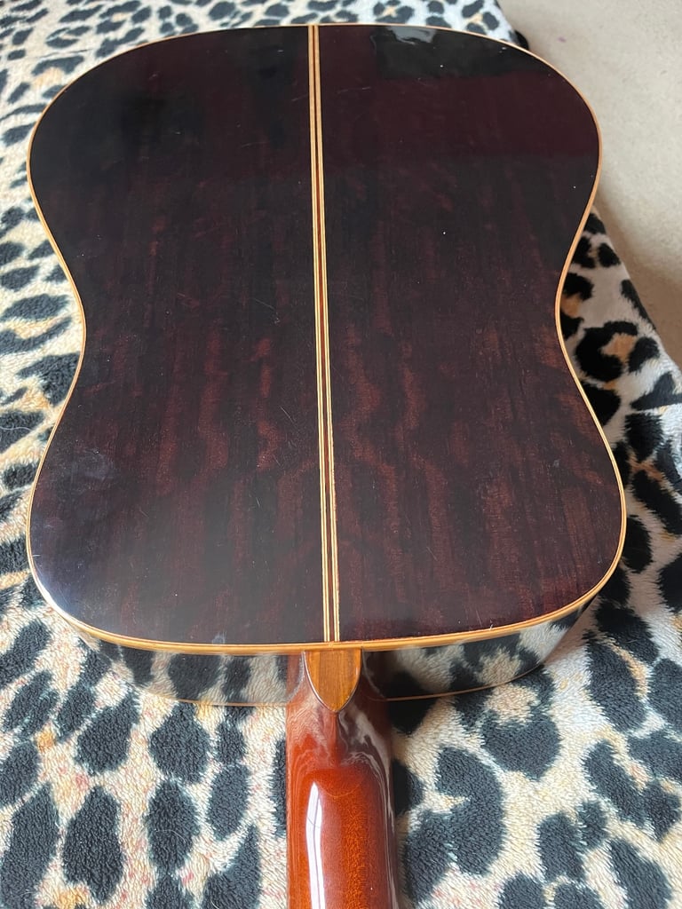 Washburn 12 string guitar D68 SWN