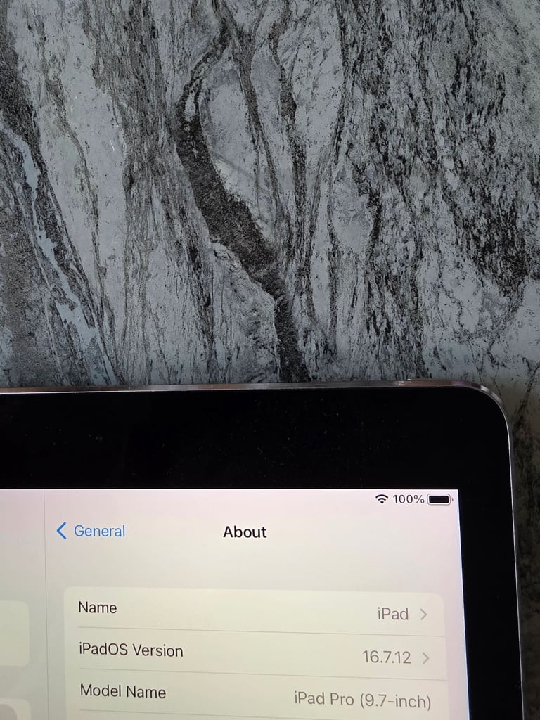 Ipad pro 1st generation 128gb 