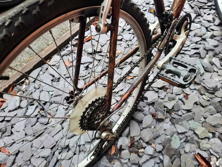 Adults Unisex Bicycle / Cycle 
