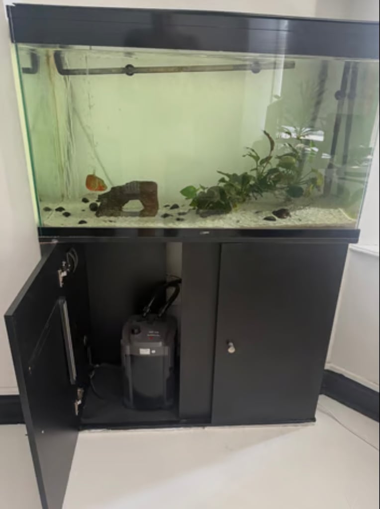 image for Ciano 200L Aquarium w/ Stand + Extras