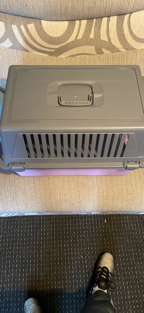 Dog crate 