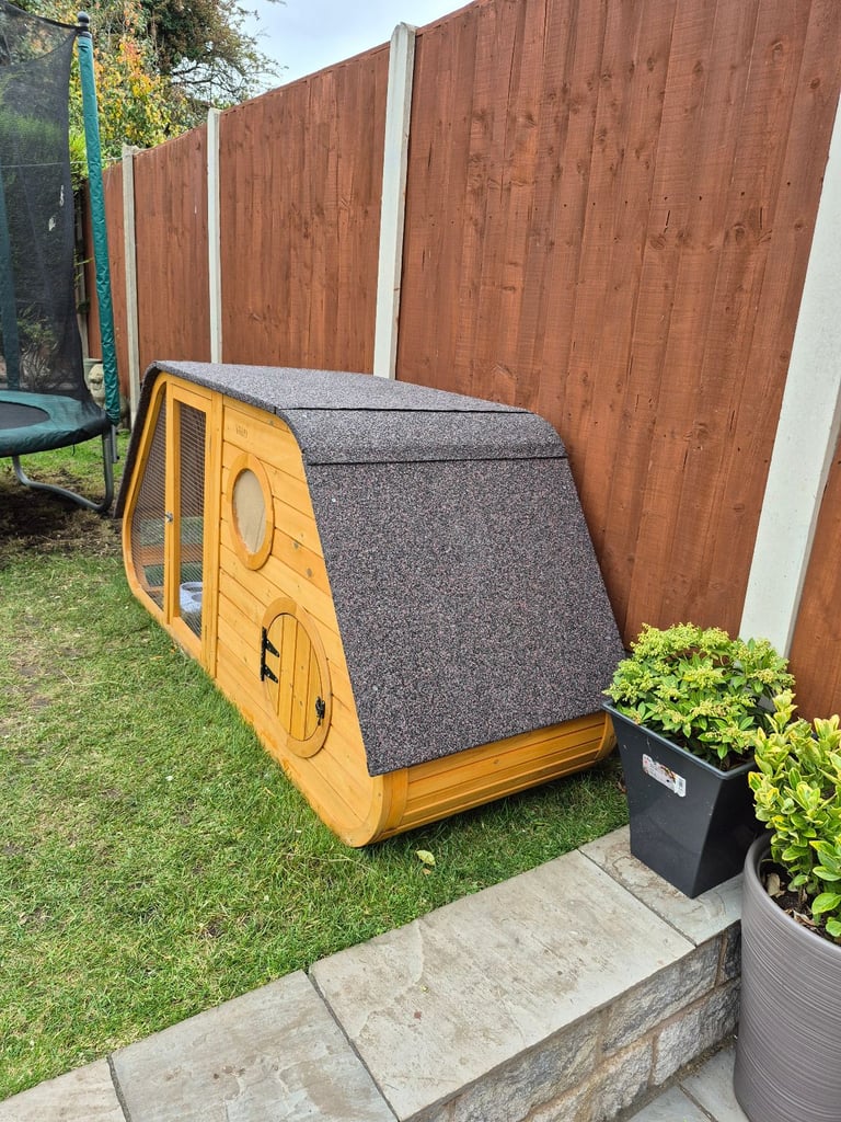​Pair of Adorable 14-Week-Old Rabbits with Luxury Hatched® Noah's Ark Hutch - Full Set-Up!