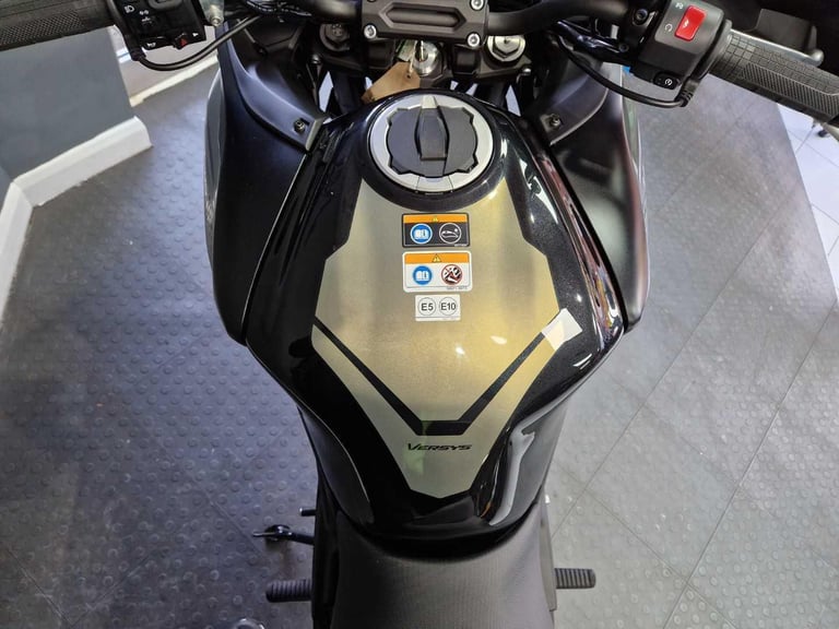 2024 Kawasaki VERSYS 650