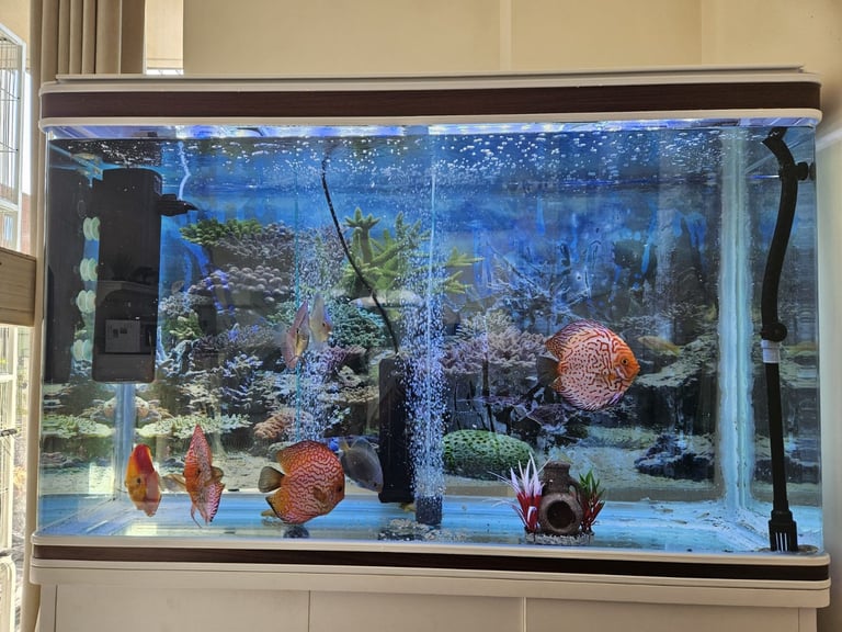 Aquarium (used for tropical Fresh Water) London (Harrow on the Hill), Collection Only