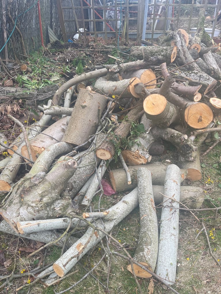 image for Tree cutting,slabs,fence,house panting,chimney removal 