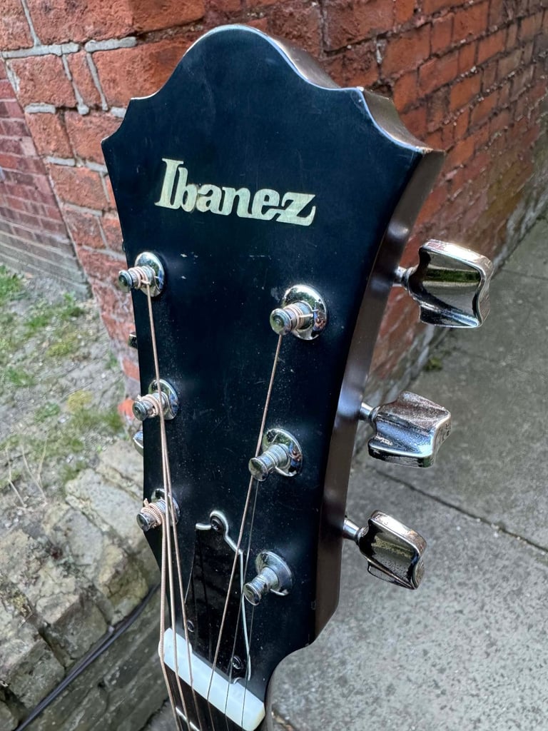 Ibanez V220 Vintage Series (Japan, 1980s) + Schatten HFN passive piezo pickup