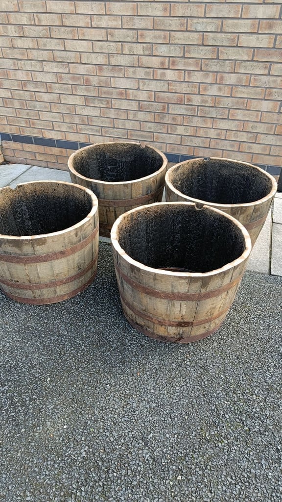 Oak barrel planters £25 each 