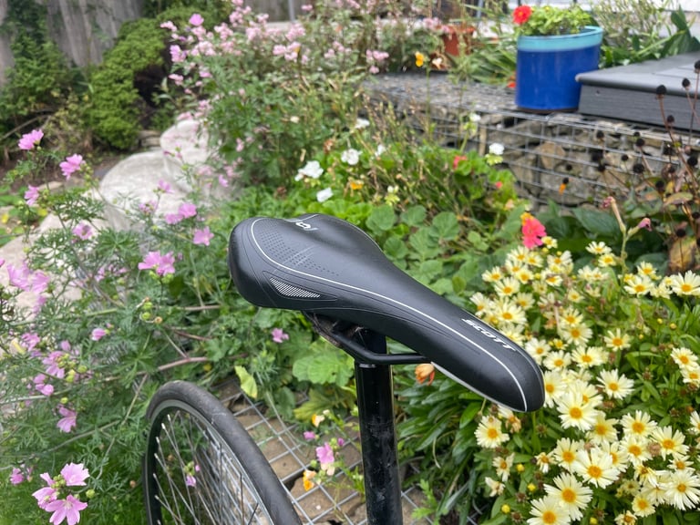 Men’s Road Bike