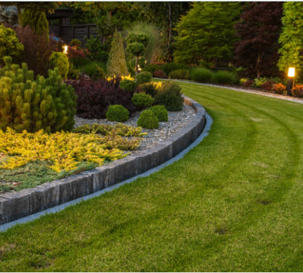 image for Garden Maitenance, Shrub Trimming, Lawn mawing service