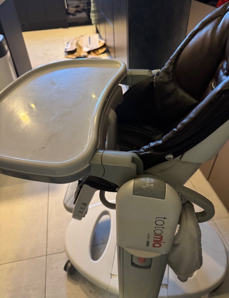 Baby Chair Peg Perego Tatamia Follow Me Ice