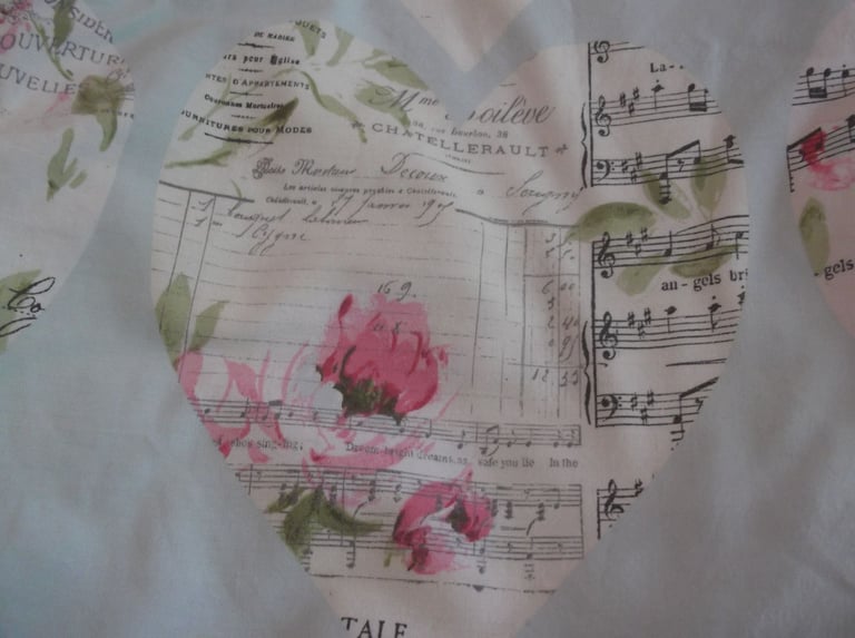 Dunelm Very Pretty Lined Curtains and 2 Matching Single Duvet Covers and Pillowcases